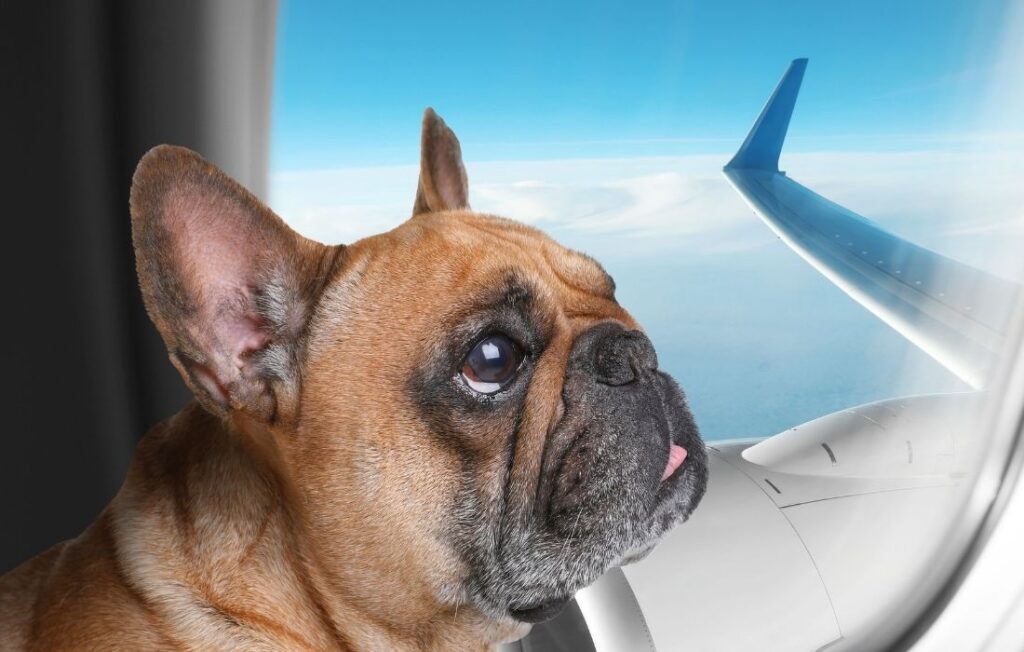 Beautiful View from Airplane Window. Time to Travel