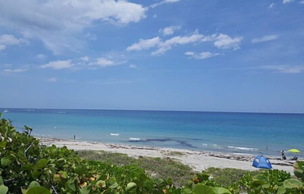jupiter dog beach 