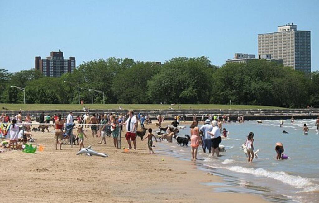 Montrose dog beach
