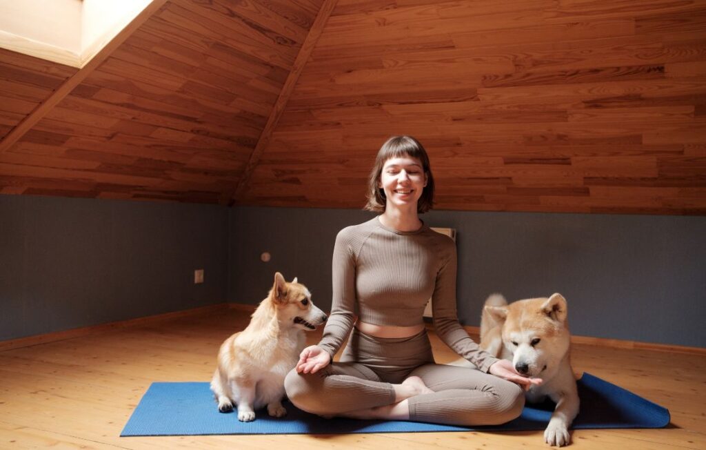 what is doga