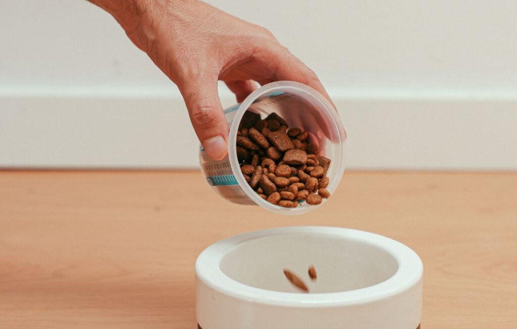 person putting dog food in a bowl