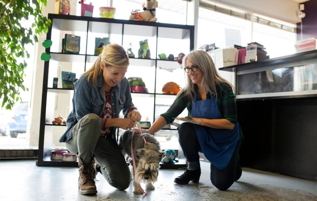 Woman with schnauzer dog checking in at dog daycare