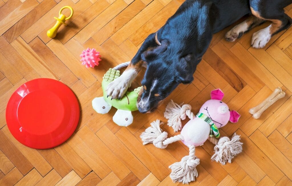best toy for chewers and biters