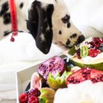 Black and White Dalmatian Dog Eating Fruits