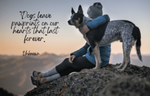 “Dogs leave pawprints on our hearts that last forever.”
