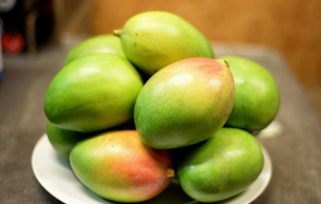 Photograph of Green Mangoes