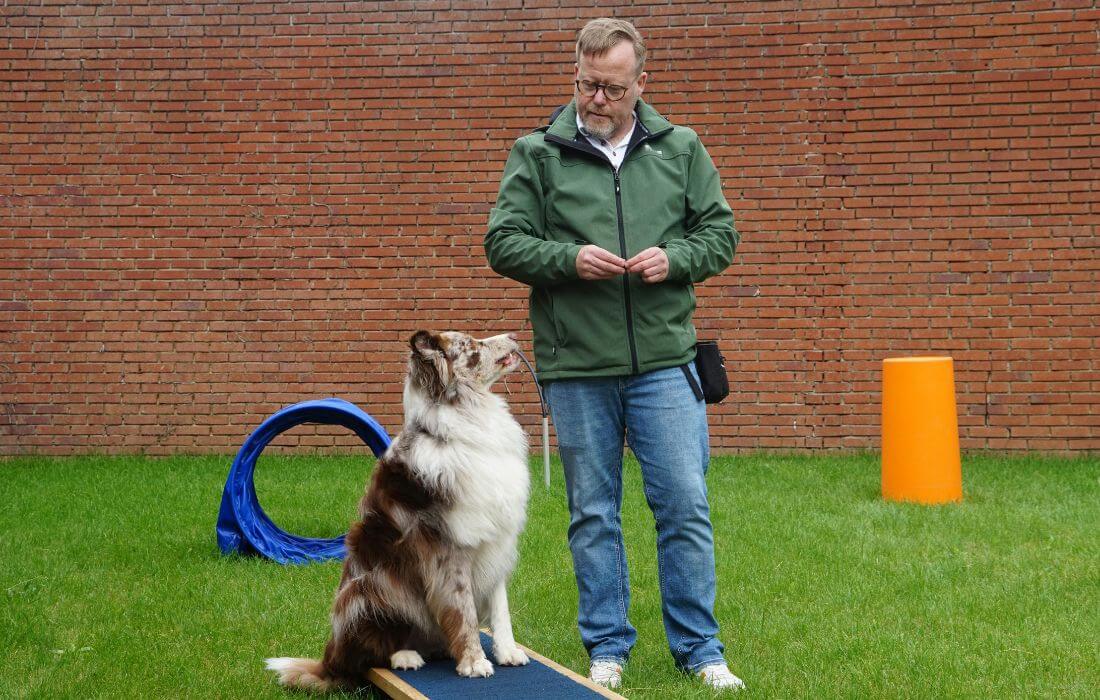 dog owner traing his dog