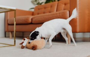 Top 9 advantages of soft dog toys