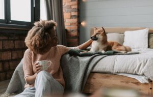 how to make your home dog friendly