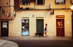 How do you say dog in spanish?