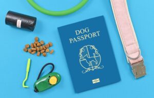 Traveling with Dogs Passport and Dog Items