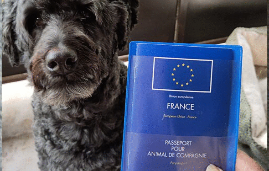 France pet passport
