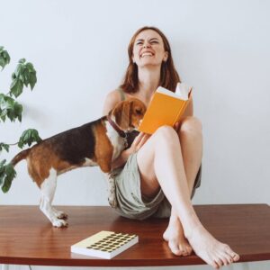 guide to the best dog for small spaces
