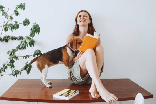 guide to the best dog for small spaces