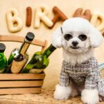 amazing dog bithday party theme
