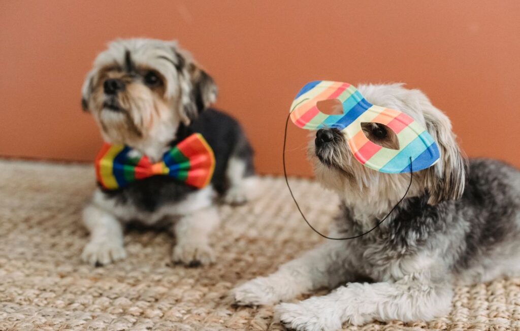 dog costume party