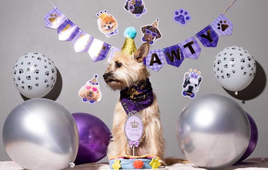 dog birthday party