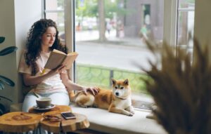11 amazing dog nook ideas