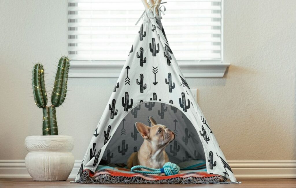 a dog in a teepee