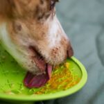 beef and veggie dog bowl