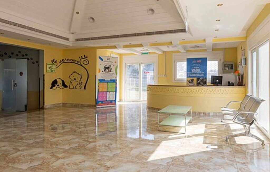 the pet hotel reception