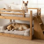 10 amazing dog bedroom ideas