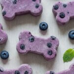 frozen yoghurt and blueberry treats
