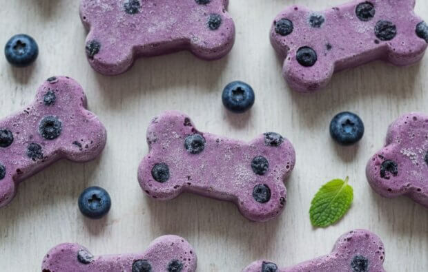 frozen yoghurt and blueberry treats
