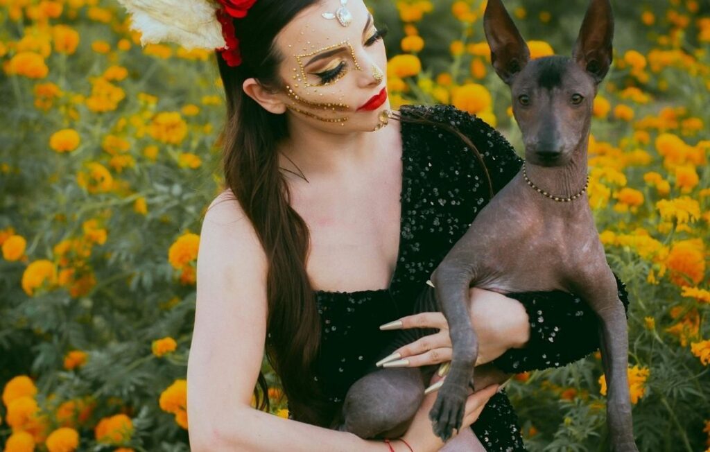 Woman in Black Dress and Floral Crown Holding Xolo Dog