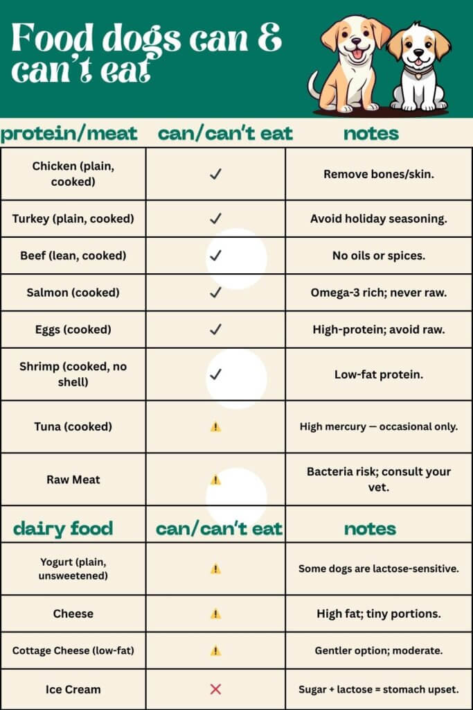 protein/meat dog can eat