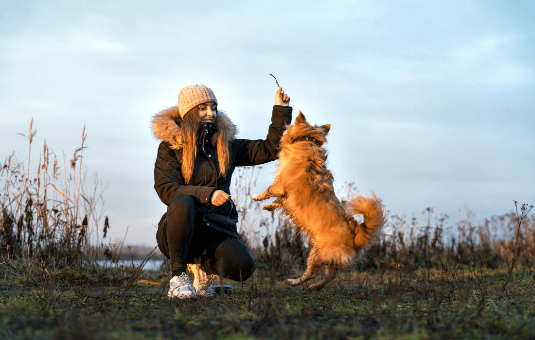 Woman Playing with Dog in Autumn Field