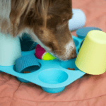 a dog playing with toys on a bed