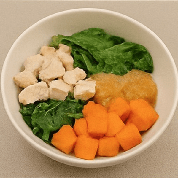chicken and sweet potatoe dog bowl