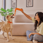 female playing with dog