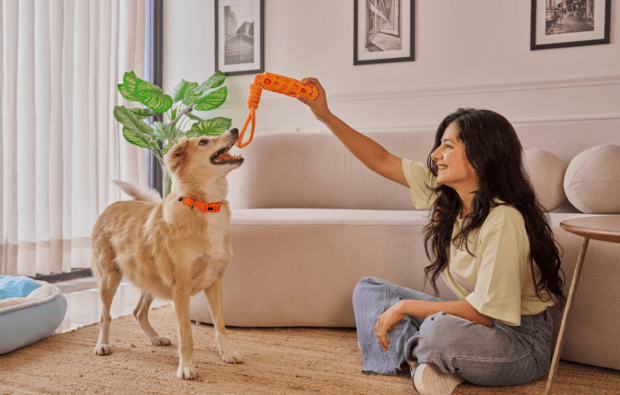 female playing with dog