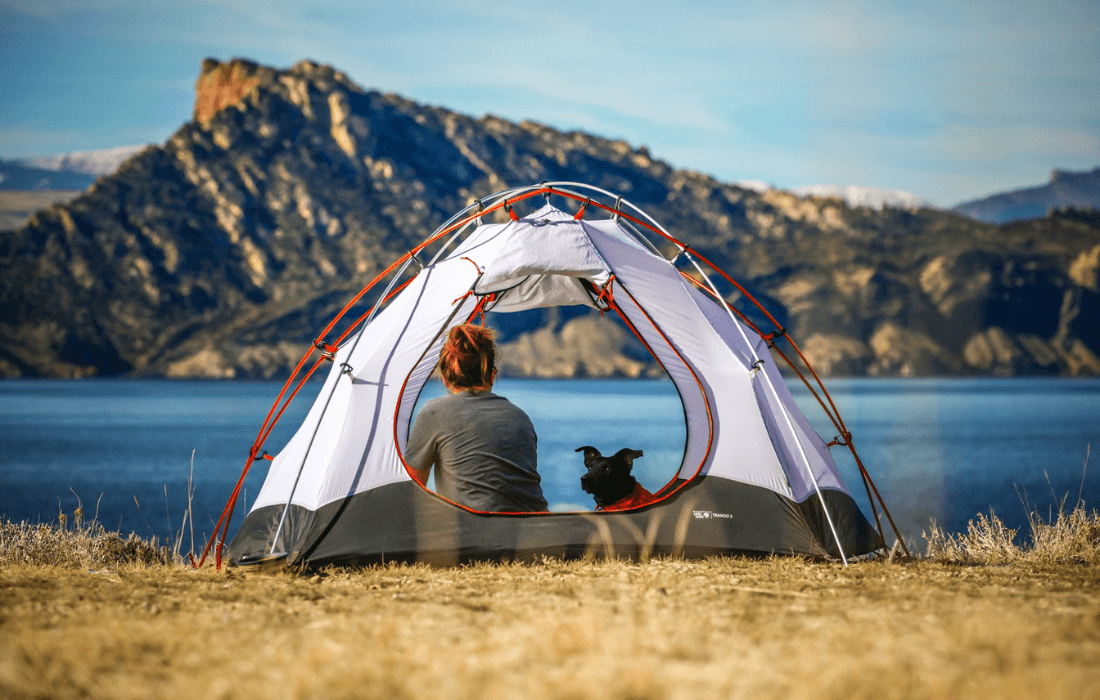 woman and dog inside outdoor tent