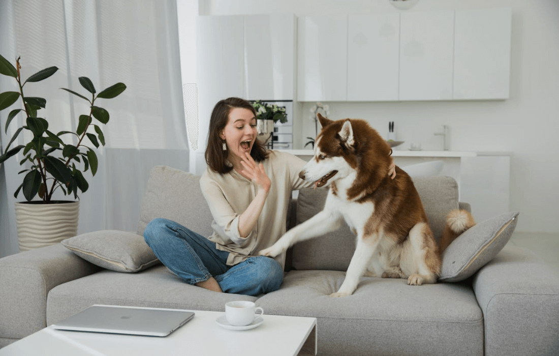 woman sitting on couch playing with her dog