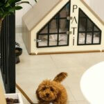 custom dog house in living room