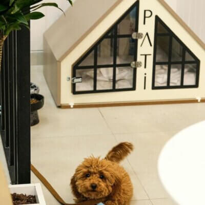 custom dog house in living room