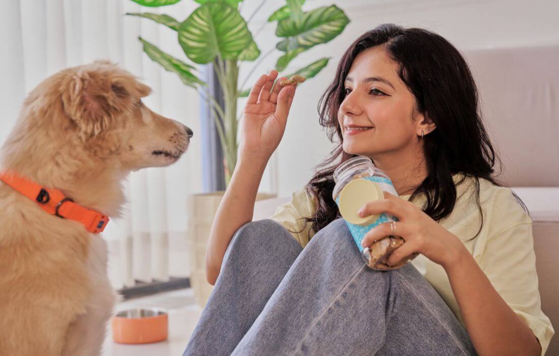 parent feeding treats to  dog during play time