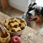 pumpkin & applesauce treats recipe