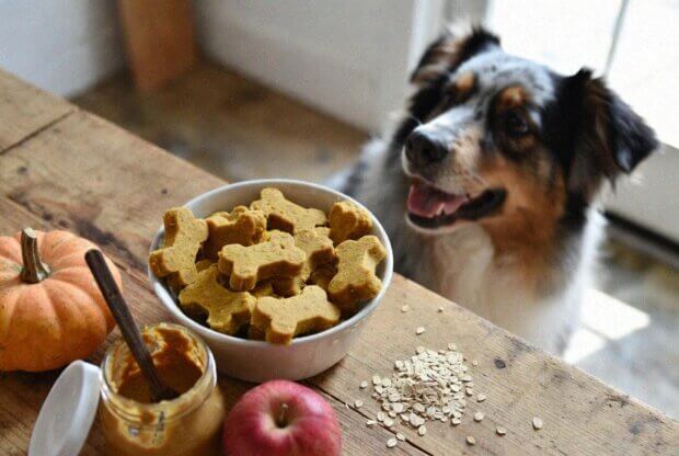 pumpkin & applesauce treats recipe