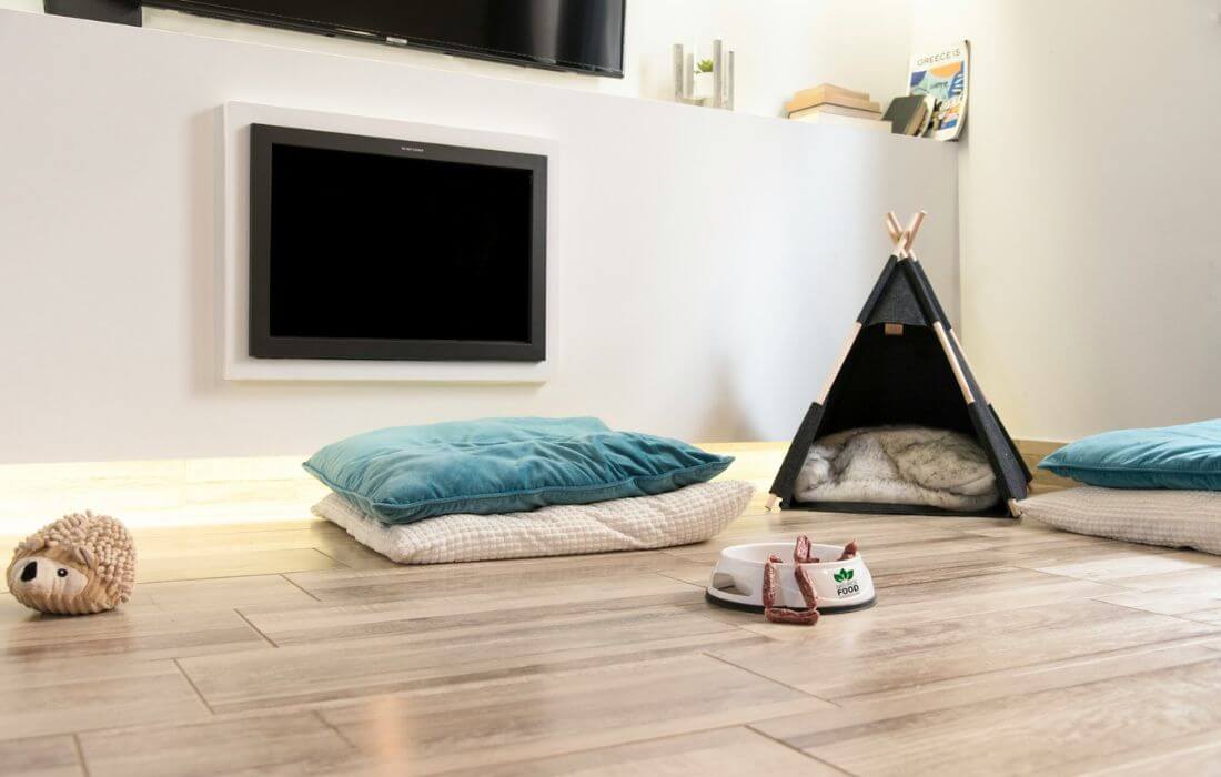room with dog tipee
