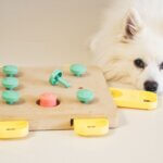 15 dog boredom busters to mentally stimulate your dog