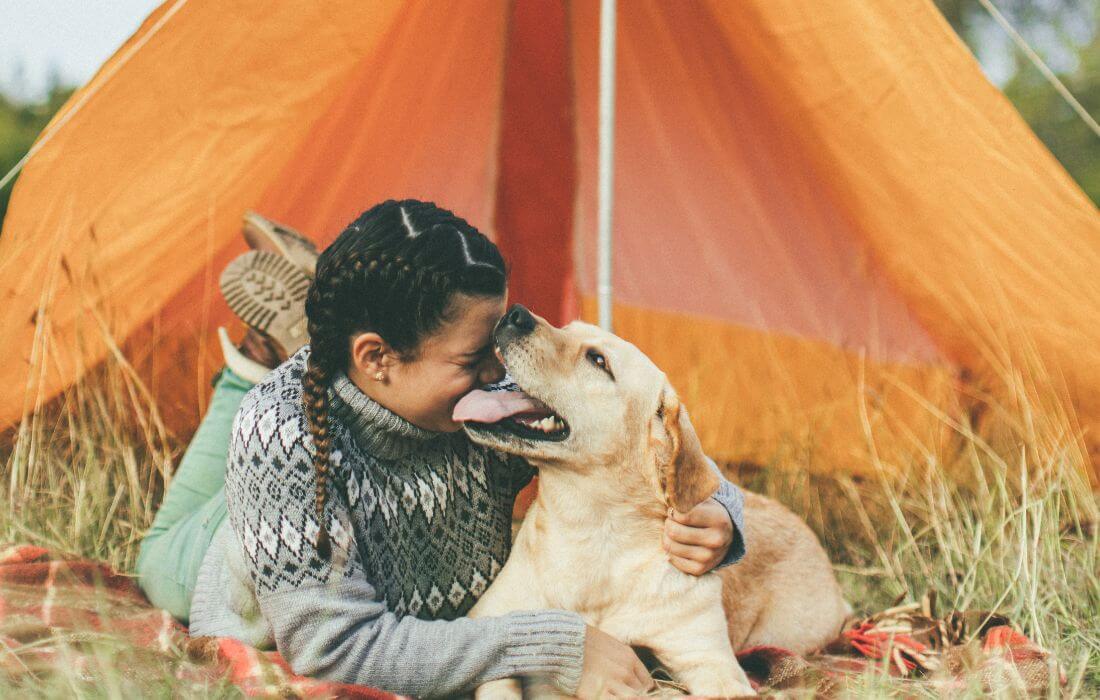 Camping and playing with dog