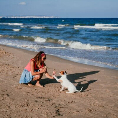 Woman Playing with Dog at the Beach