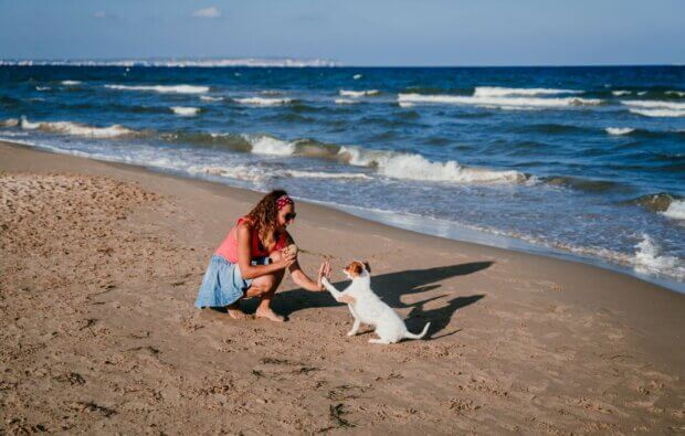 Woman Playing with Dog at the Beach