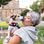 fireworks anxiety: How to keep your dog calm