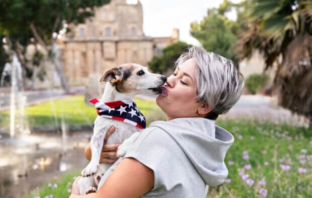 fireworks anxiety: How to keep your dog calm