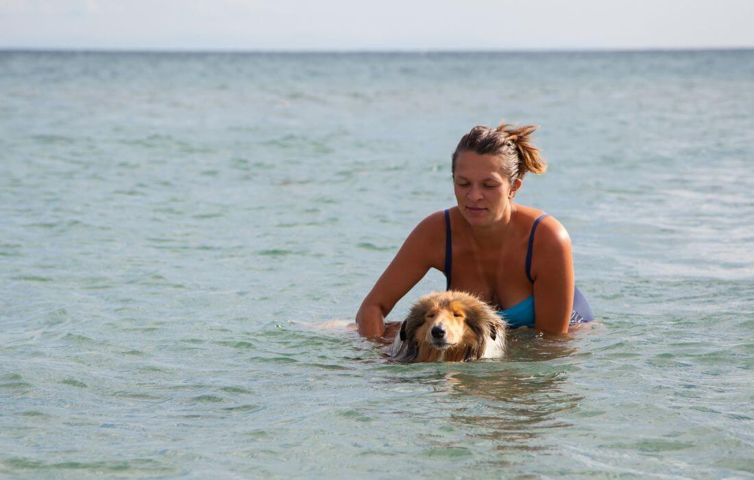 Young girl teaching dog to swim